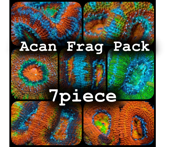 Acan frag Pack 7piece