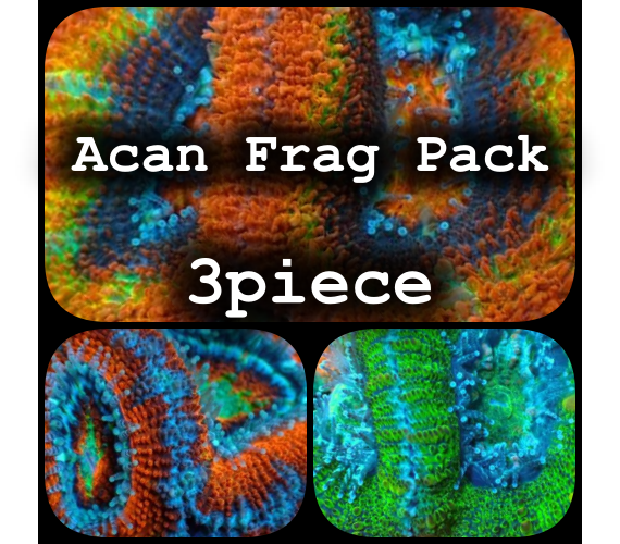 Acan frag Pack 3piece