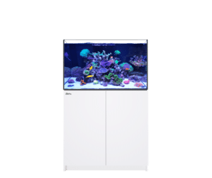 REEFER G2+ 250 【Red Sea】
