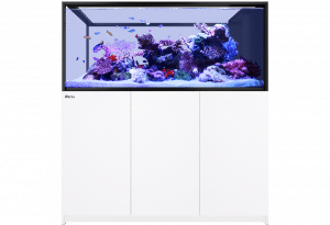 REEFER-S G2+ Peninsula 700 【Red Sea】